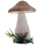 Cogumelo Veludo 25cm